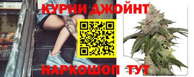 сатива Бузулук