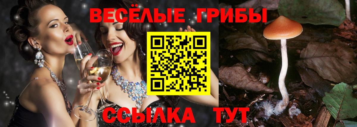 Псилоцибиновые грибы ЛСД Семилуки