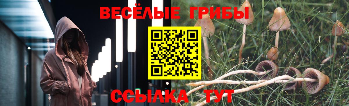 Семилуки  Псилоцибиновые грибы Psilocybe  Вход с VPN 